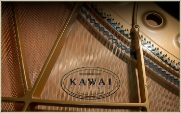 The Kawai logo on a grand piano soundboard