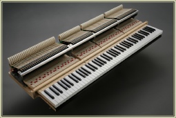 Kawai Grand Piano action