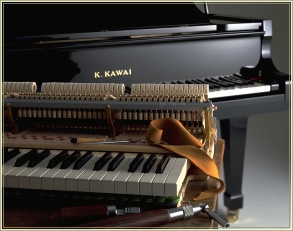 Kawai RX Grand Piano action