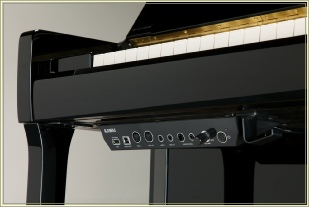Kawai Anytime ATX3 silent piano module